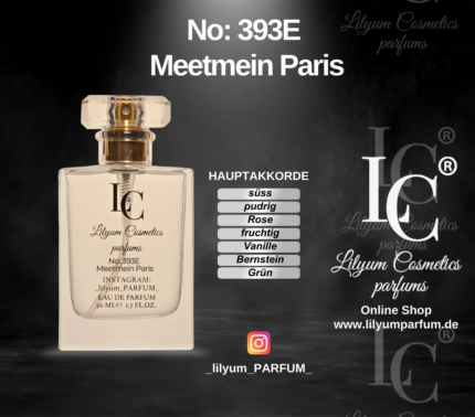 393E. LC Meetmein Paris